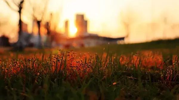 谢谢你,吴江哪个中学好