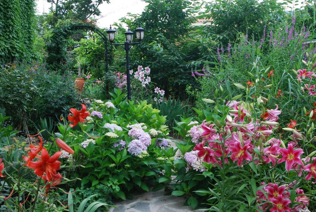 东北花园四季开花植物,北方一年四季都开花的花园