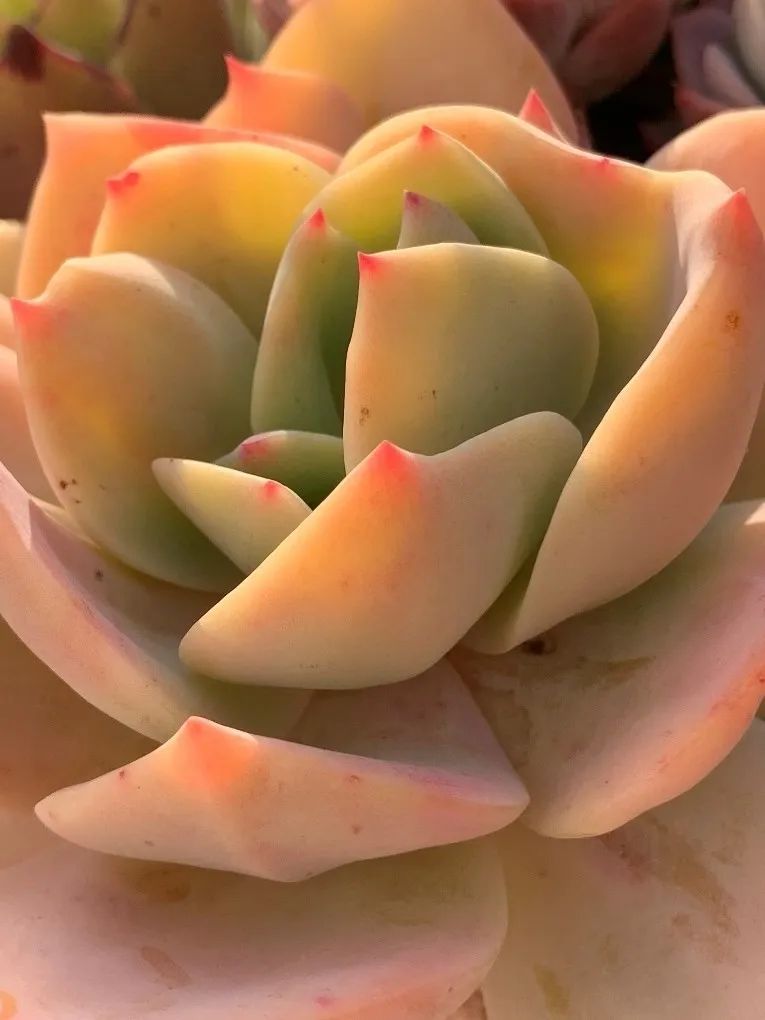 禁足的日子收获颇多,禁足