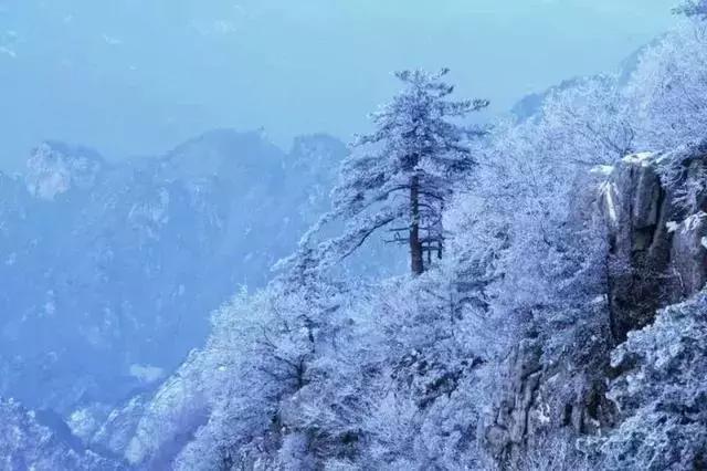 河南省春节旅游免门票景区 (春节河南6大景区半价)