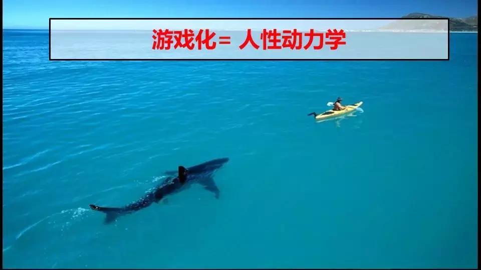 立邦培训,立邦销售培训