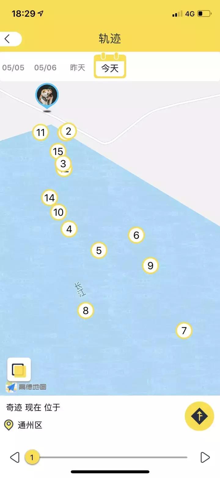 南通有条狗居然想在苏通大桥附近横渡长江，游往江南！