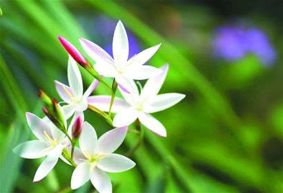 福薄之人要有福,为什么说福薄的人接不住福气