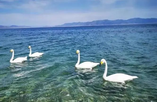 自驾游独库房车营地,自驾房车北方游