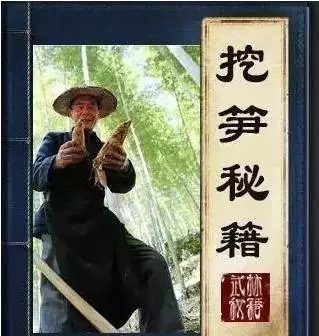 吉他教学历史,吉他书自学教材