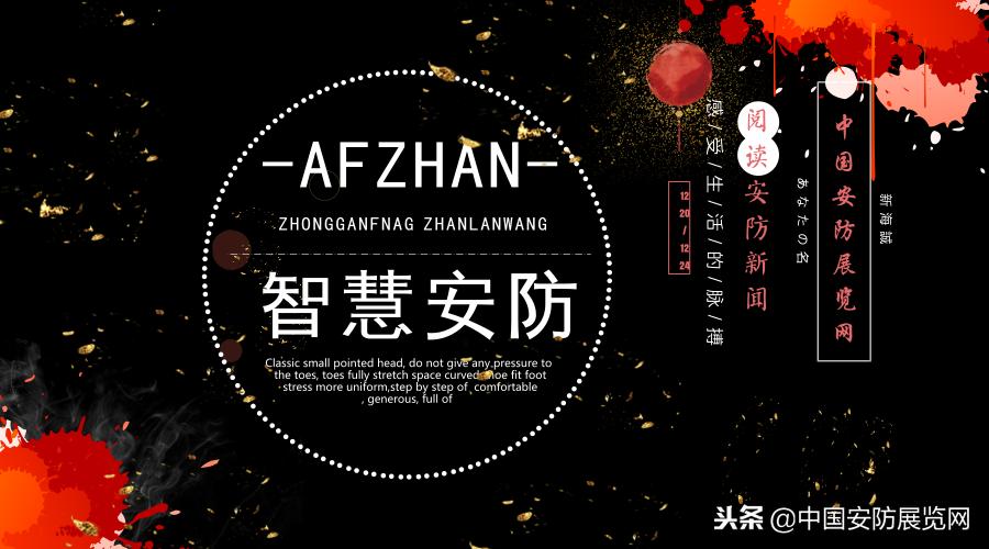 安防海外市场,国外安防行业公司排名