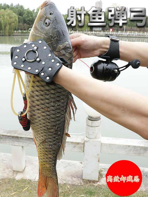 普通河里弹弓打鱼是不是违法,在什么情况下弹弓打鱼违法