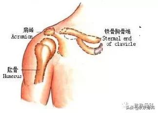 骨科术前术后注意事项,骨科手术体位安置标准流程