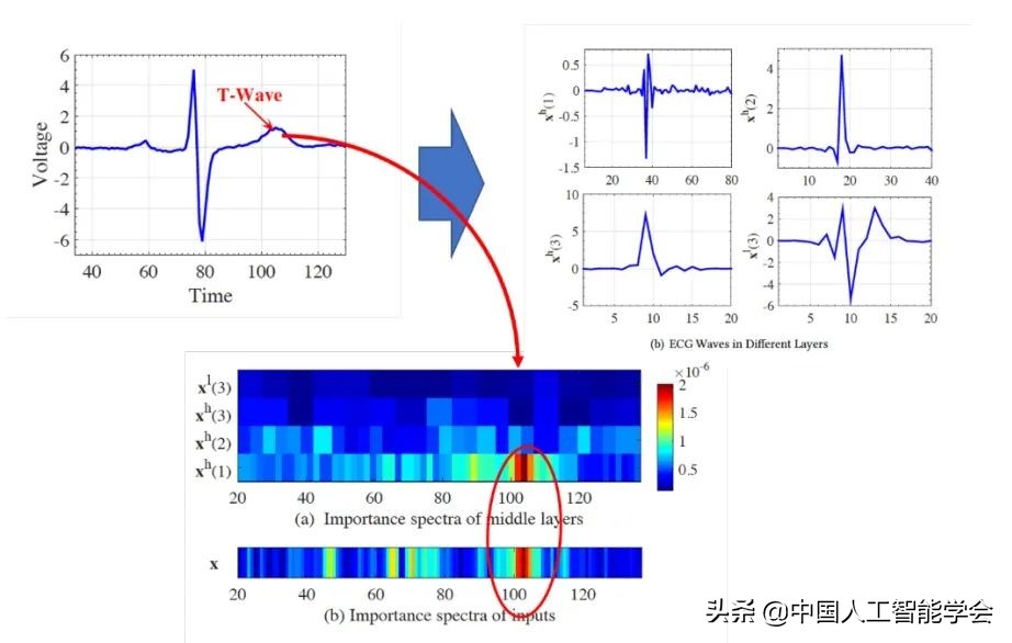 AI研习丨专题：融合计量经济学思想的可解释深度学习