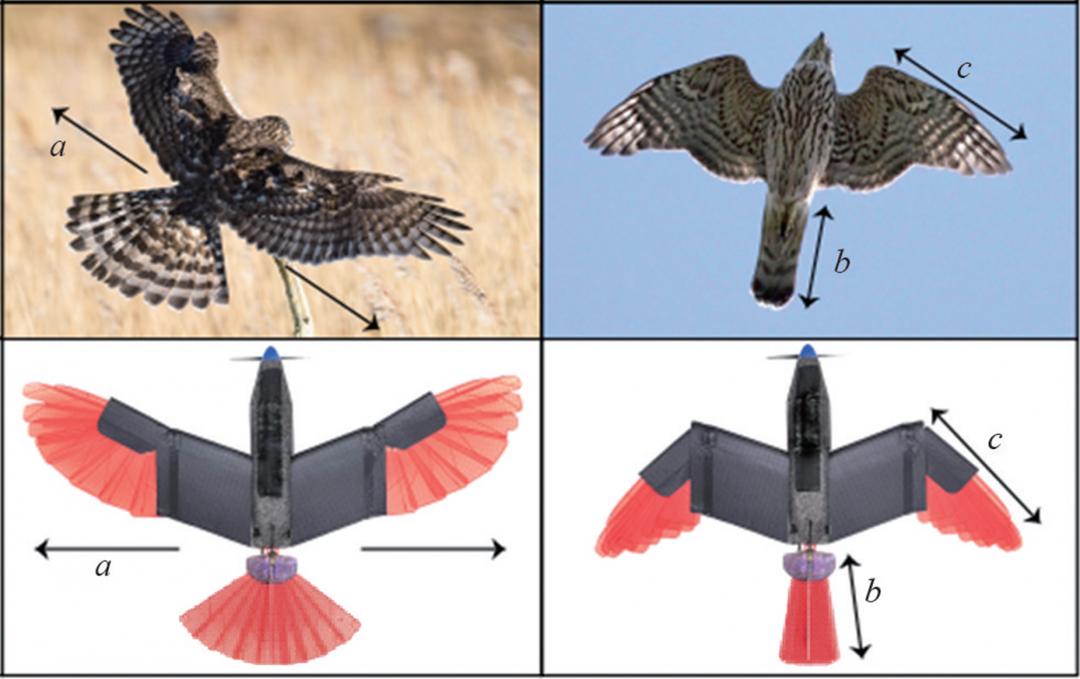 无人机发展趋势高精度,2020年无人机的国际发展状况