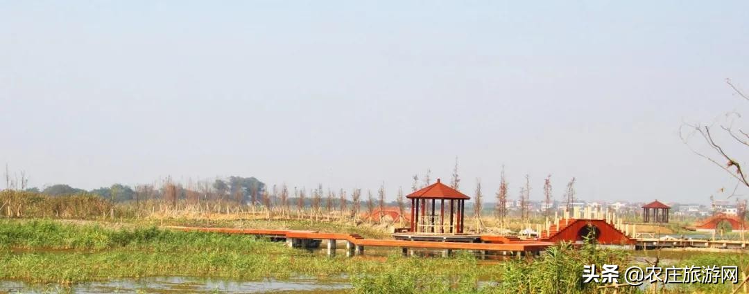 逛水城、登大涪山、吃湖鲜...长荡湖邂逅属于你的秋