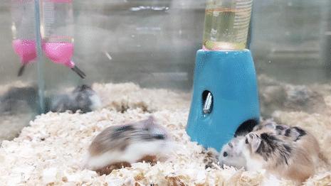 不去后悔去了更加后悔的景点,不去后悔去的景点