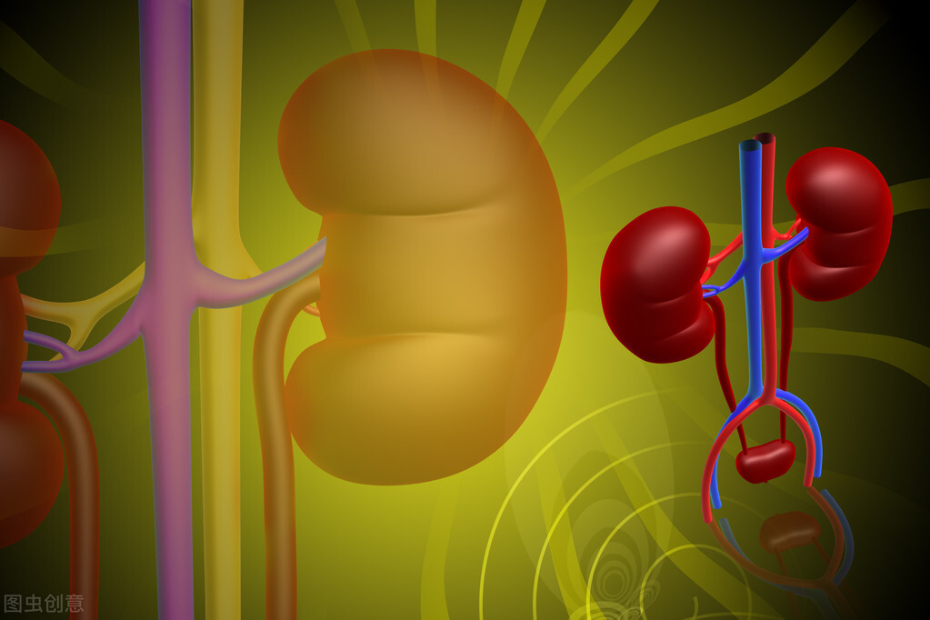 喝完水就尿和不尿哪个好,喝完水很快就小便是肾不好吗