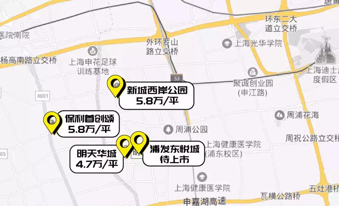 周浦镇和张江镇哪个好,周浦和唐镇哪个有潜力