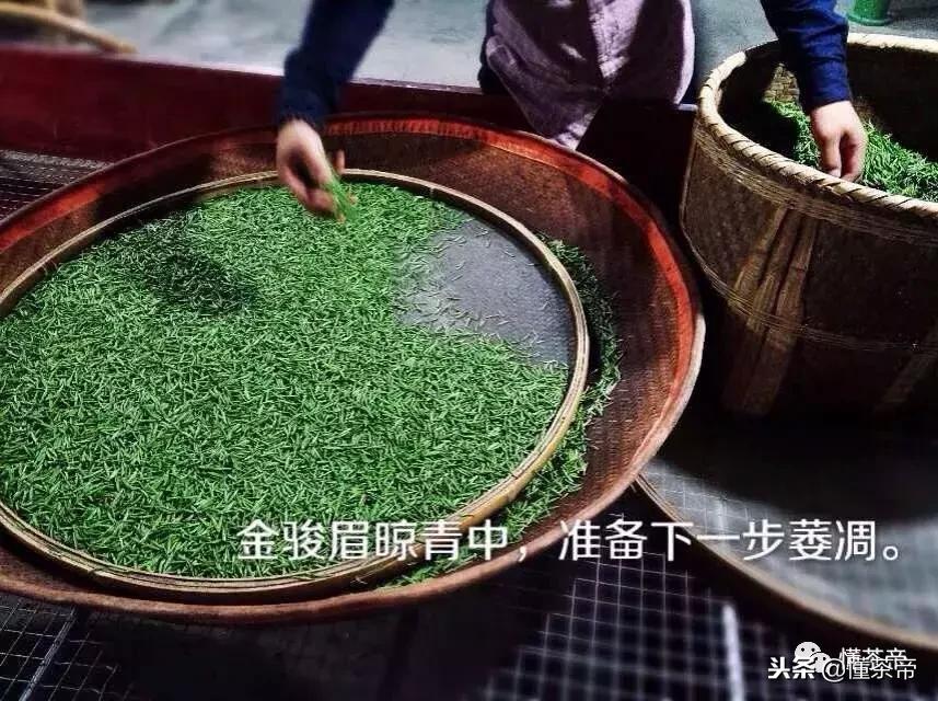 真正的金骏眉是什么样子的,你们喝金骏眉有没有感觉到有霉味