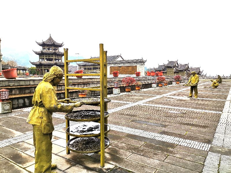 都匀茶旅小镇,都匀毛尖茶园基地游玩