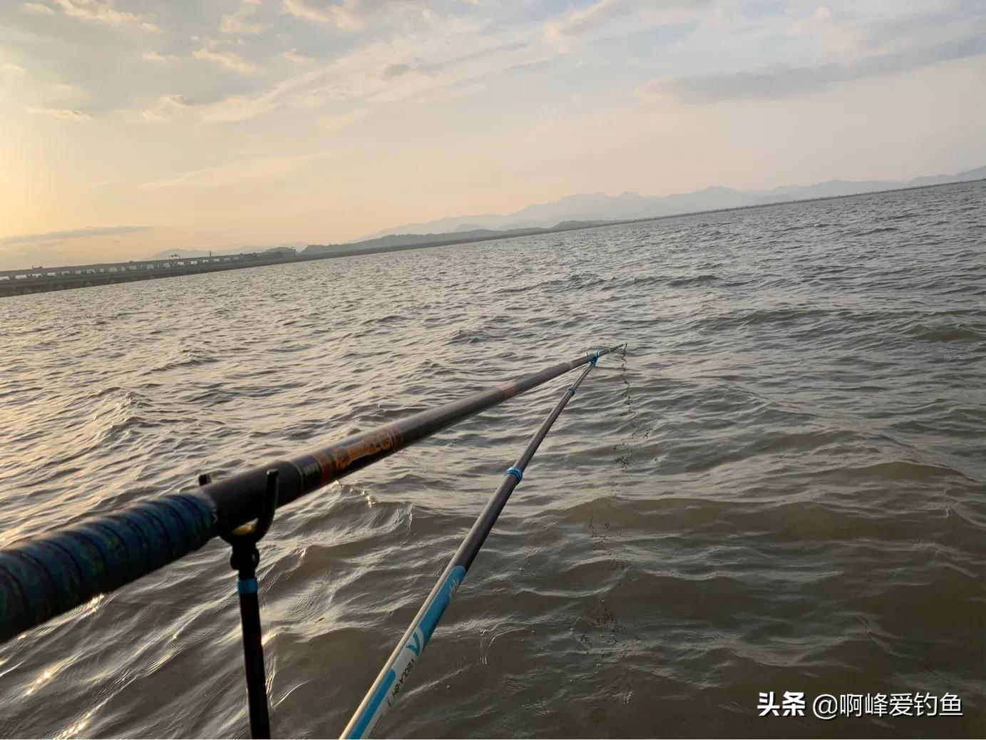 野钓大物技巧,野钓钓大物多长时间合适