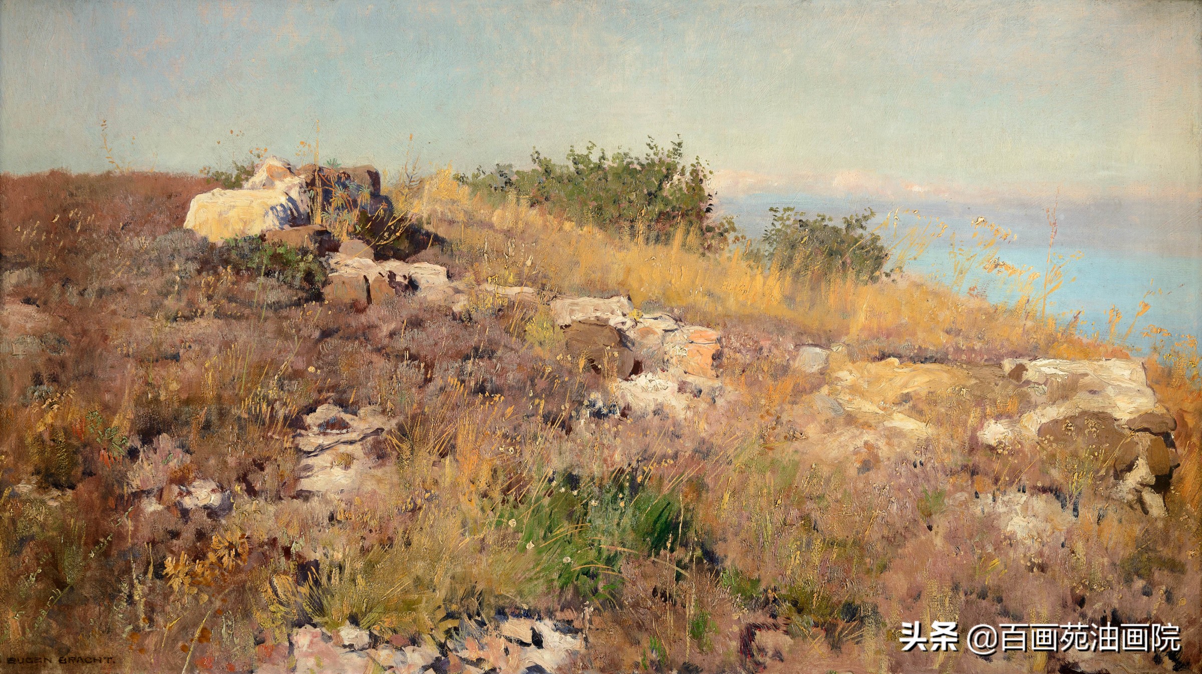 油画色彩调色规律,油画色彩入门基础知识