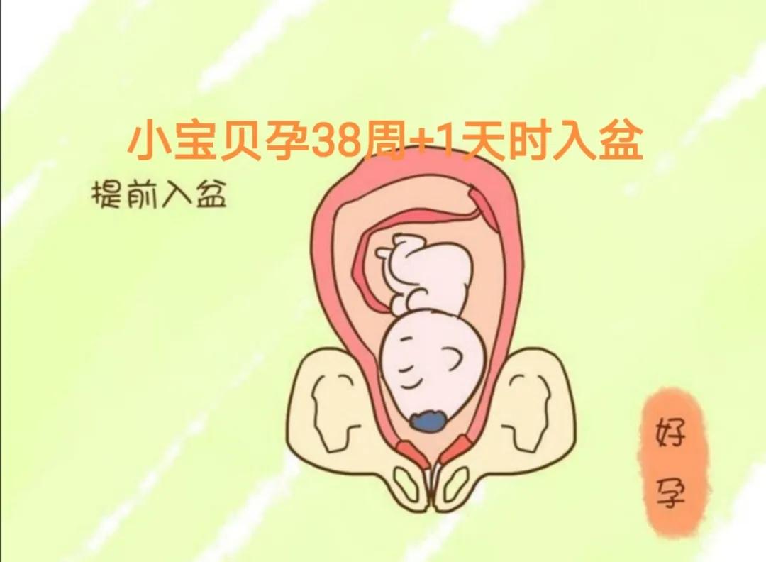 孕38周+3天，浅入盆第三天，分享宝宝入盆后自己的身体变化