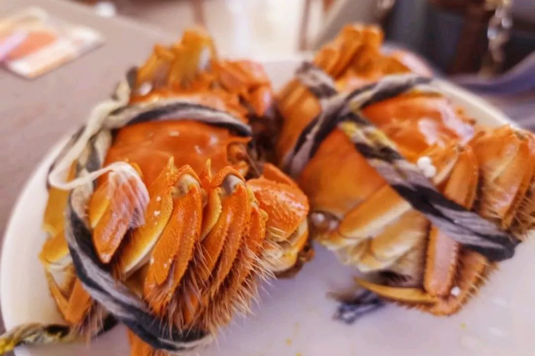 振华广场美食海底捞,振华广场餐厅