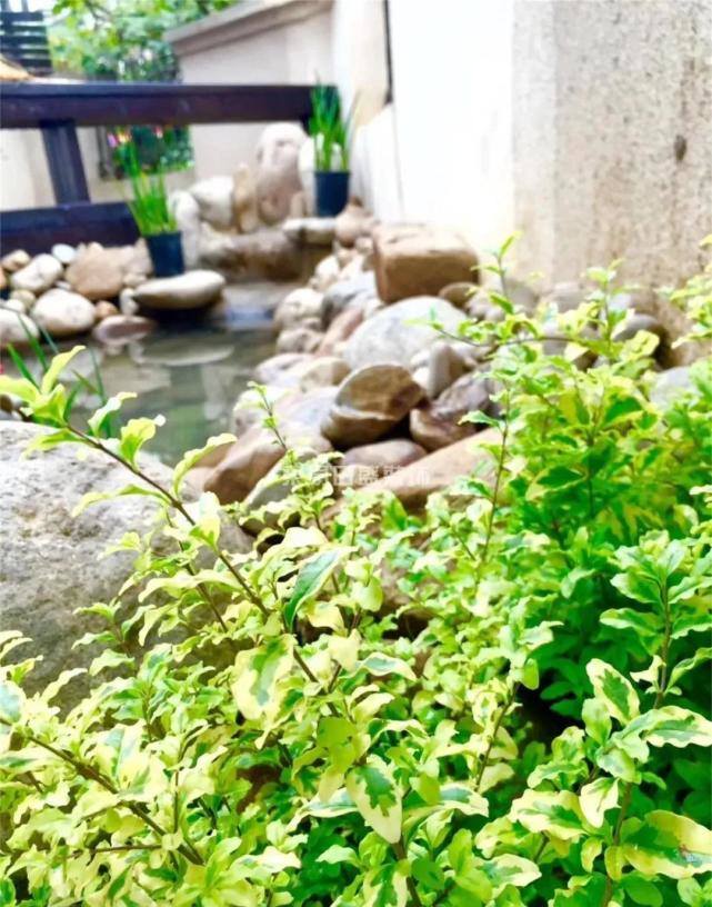 429新中式轻奢别墅设计,550平中式别墅设计