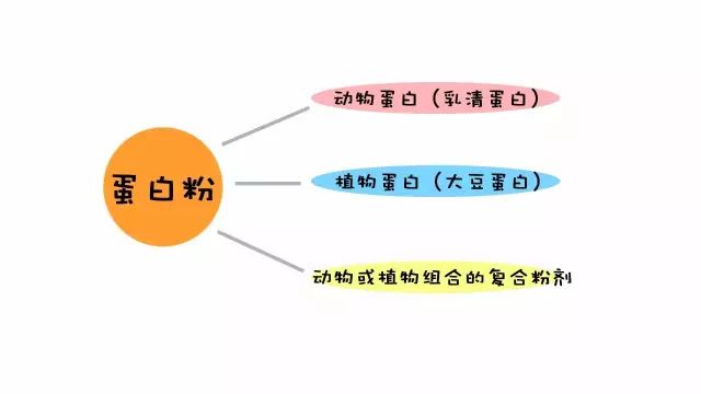 你的蛋白质补充够了吗,你的蛋白质补够了吗