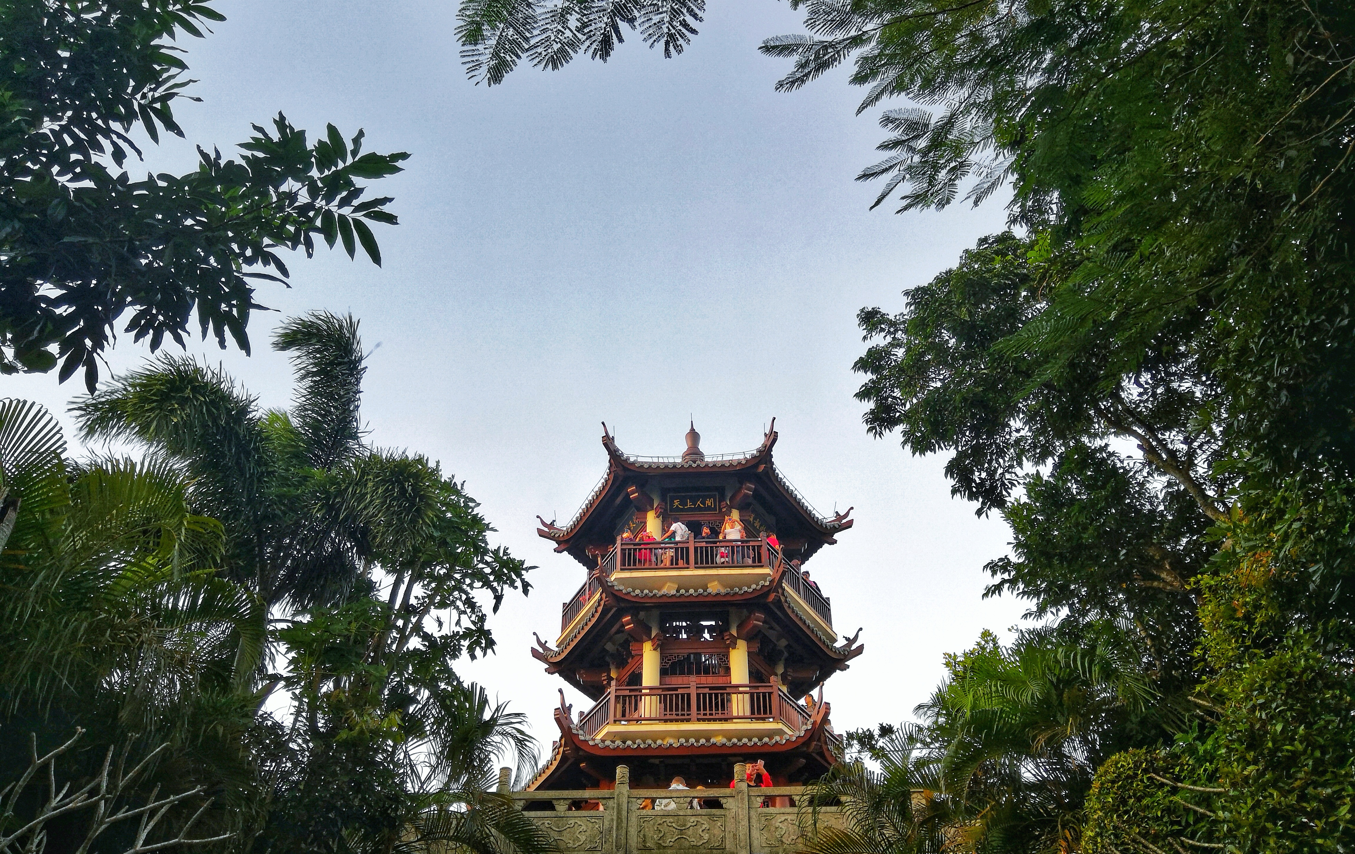 三亚亚龙湾热带天堂森林公园攻略,三亚好玩的原始森林