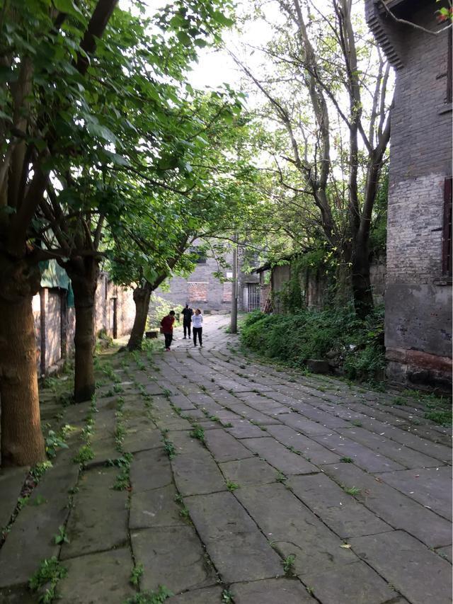 重庆铜罐驿古镇柑橘视频,重庆铜罐驿古镇排名