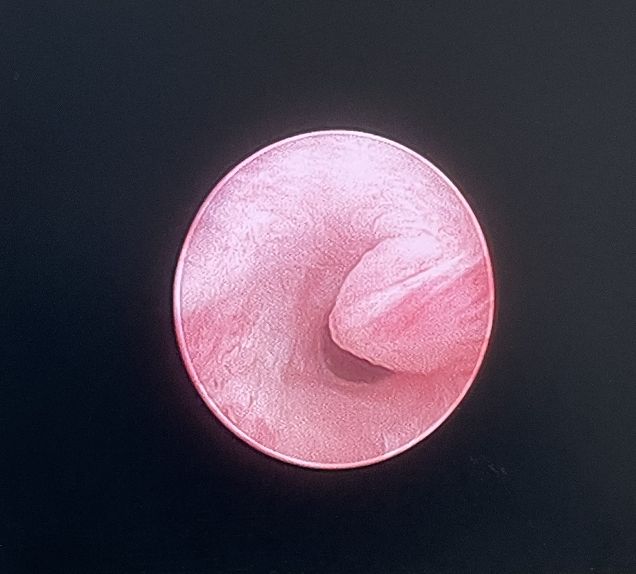 涓尰鍗佸ぇ琛屽尰绗旇,鍚嶅尰鏈