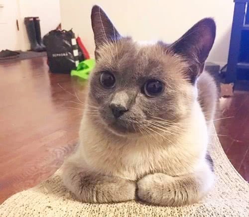 <html>
<head><title>502BadGateway</title></head>
<body>
<center><h1>502BadGateway</h1></center>
<hr><center>nginx</center>
</body>
</html>
<!--apaddingtodisableMSIEandChromefriendlyerrorpage-->
<!--apaddingtodisableMSIEandChromefriendlyerrorpage-->
<!--apaddingtodisableMSIEandChromefriendlyerrorpage-->
<!--apaddingtodisableMSIEandChromefriendlyerrorpage-->
<!--apaddingtodisableMSIEandChromefriendlyerrorpage-->
<!--apaddingtodisableMSIEandChromefriendlyerrorpage-->
