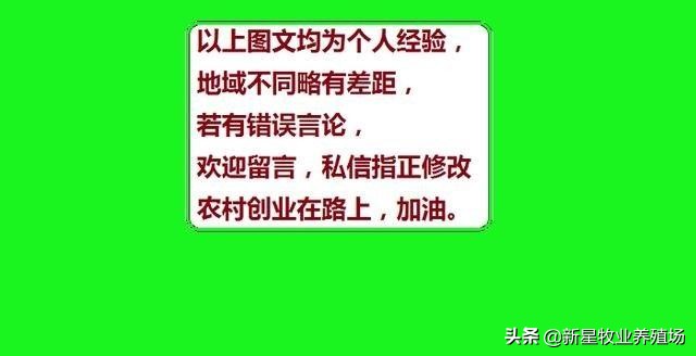 农村个人-种工公羊怎么选择，对头退役的当种羊的优缺点在哪