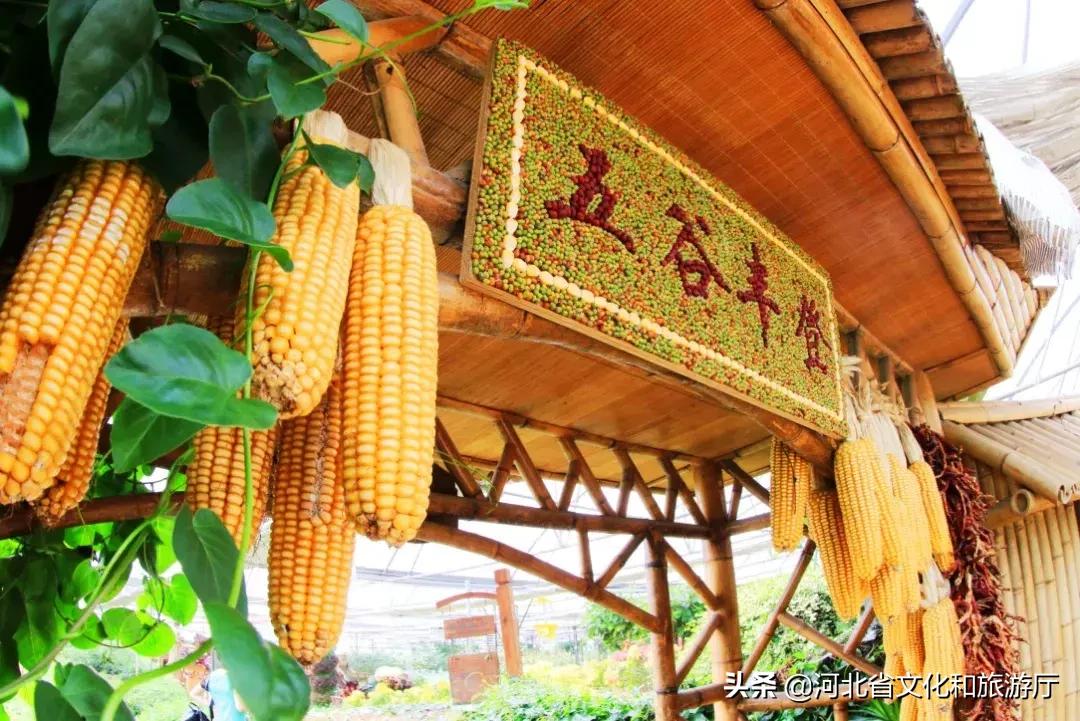 廊坊经典景观,廊坊绝美景点