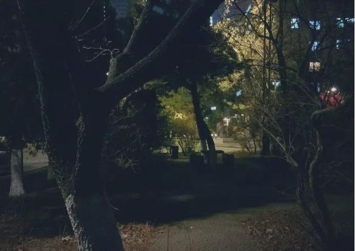 辽宁大学和鲁迅美术学院,辽宁省鲁迅美术学院是985吗