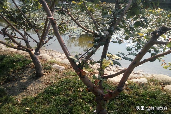 刘禹锡最豪迈的词,刘禹锡关于三峡的诗