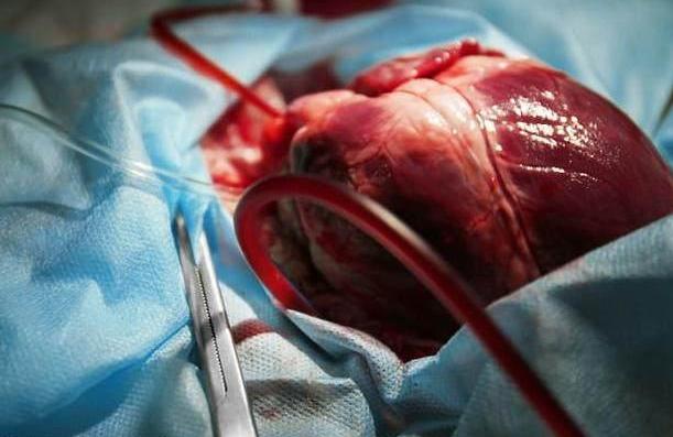 人类七大未解之谜之金字塔之谜,人类世界七大未解之谜在线阅读