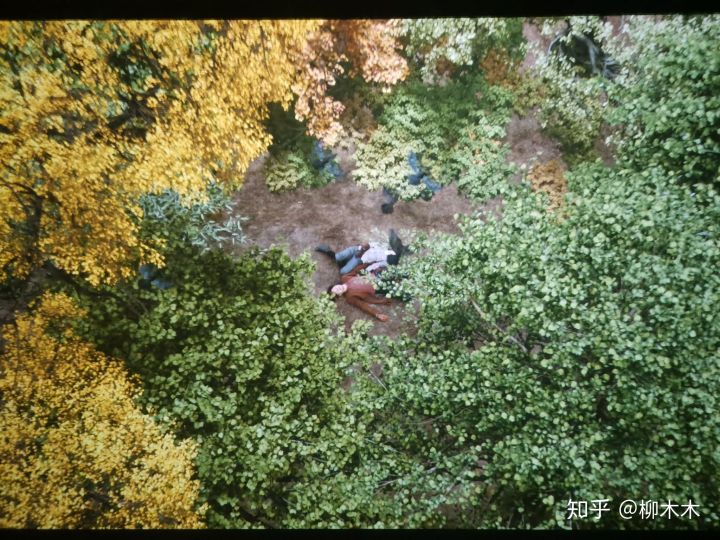 喜宝电影观后感,电影喜宝中有哪些槽点知乎