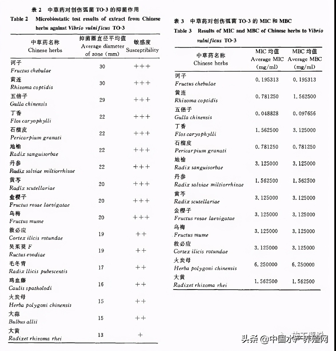 对虾养殖弧菌检测都是黄色小弧菌,对虾弧菌处理的原理是啥