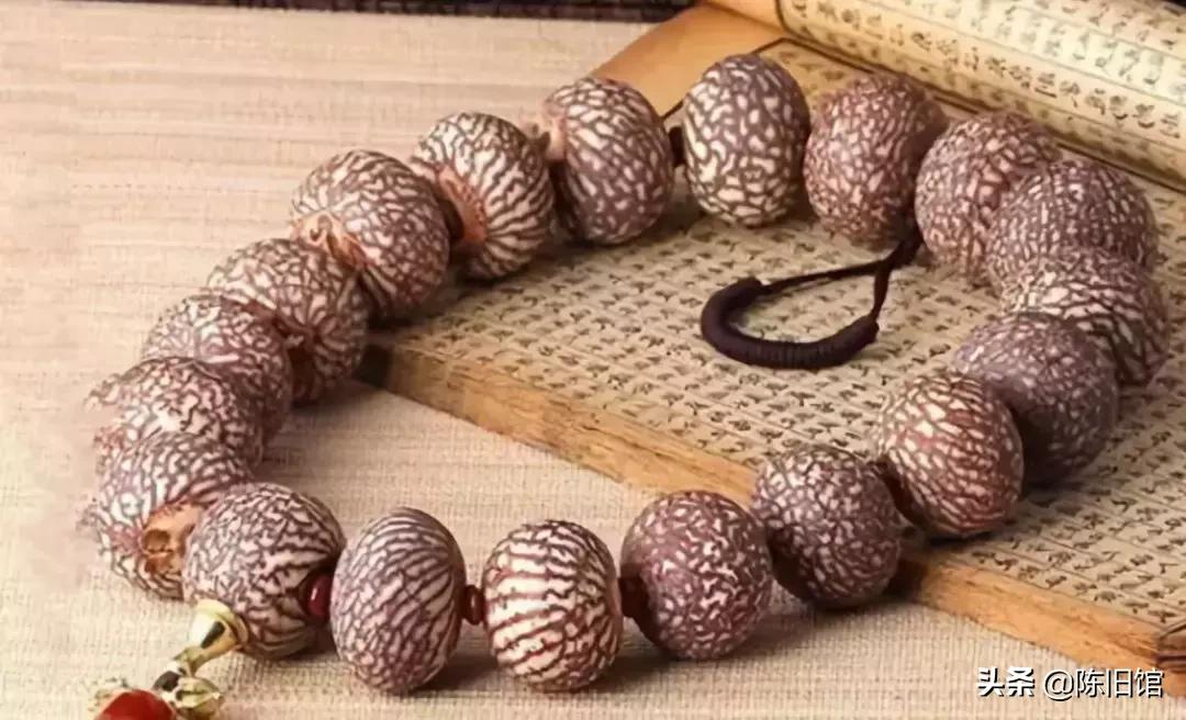 最值得玩的菩提子,真正的菩提子