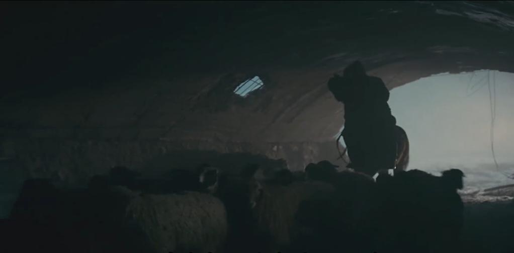 75岁老头被狼群追杀徒手大战狼群,放羊老汉遭遇狼群