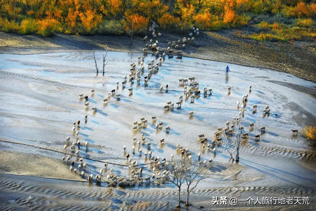 这才是12月最值得去的旅行地,11月12月去哪里旅游最美