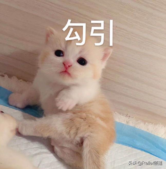 为什么用了补水面膜脸反而更干,别让脸敷烂了正确使用面膜的步骤