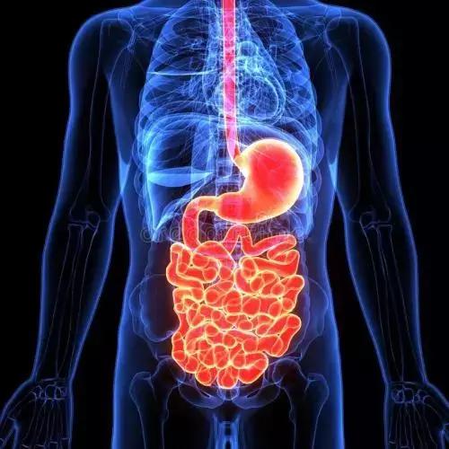 毒品祸害无穷吸毒的危害包括哪些,禁毒的危害知识摘抄