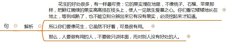 语文思维导图五年级落花生,落花生的思维导图教程简单又漂亮