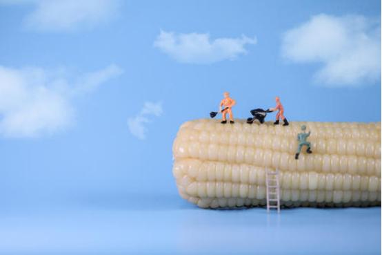 助农农产品营销文案,农产品直播文案范文