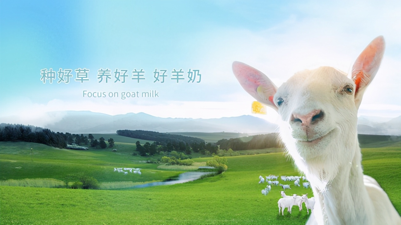 65万奶山羊加持,红星美羚再冲“羊乳第一股”胜算多少?