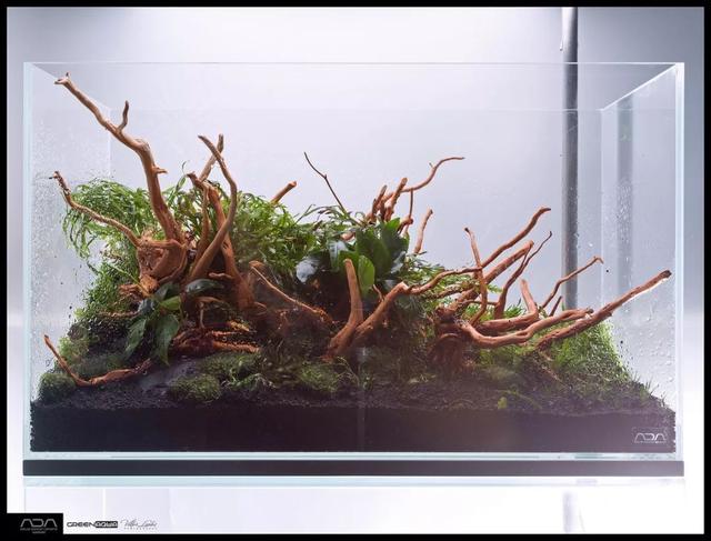 ada风格造景用什么底砂,鱼缸造景ada风格
