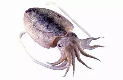 开课啦相关视频,开课啦完整版