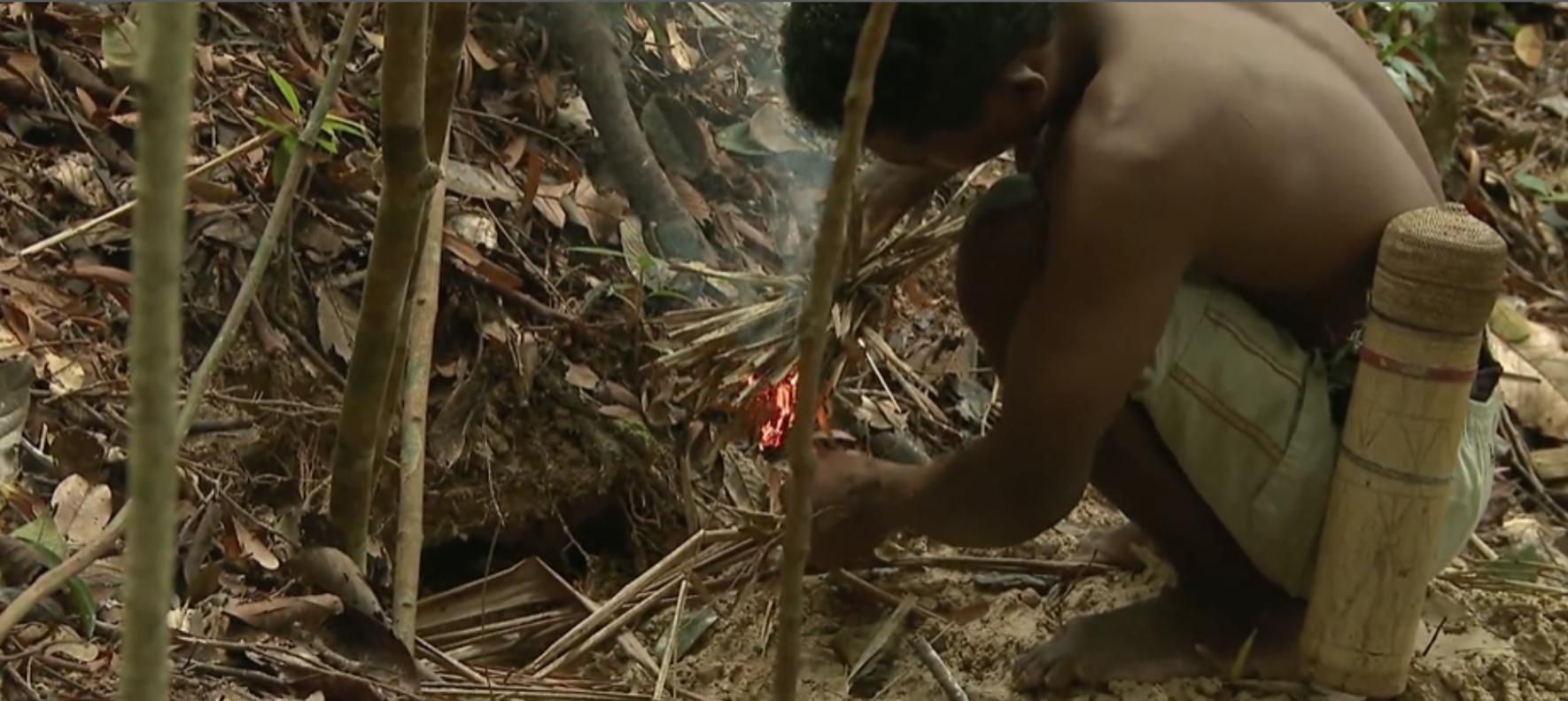 黄喉捕猎猴子全过程,野外捕杀猴子纪录片