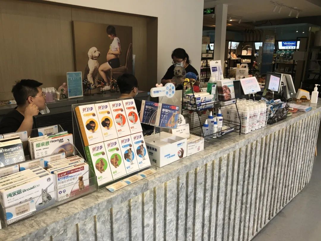 欢迎同行入内,这是一家为宠物店而开的宠物