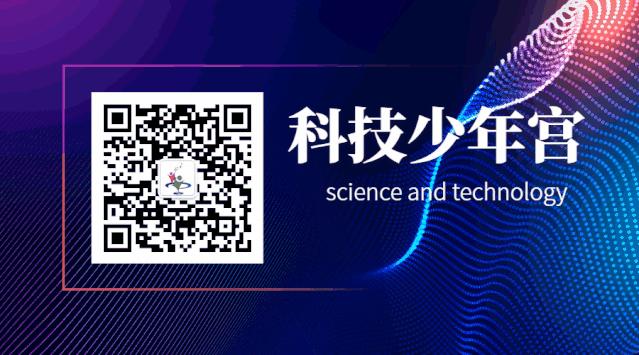 双排键乐器解读,最佳启蒙乐器双排键